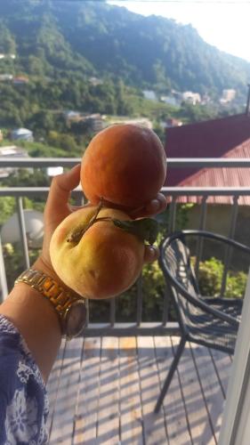 Ramgon - Apartment - Gonio