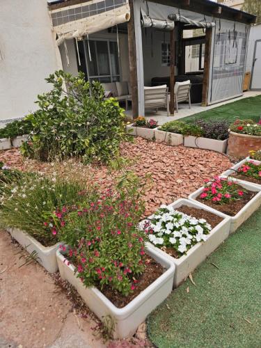 חצבים על הואדי, Arad (Foto 6)