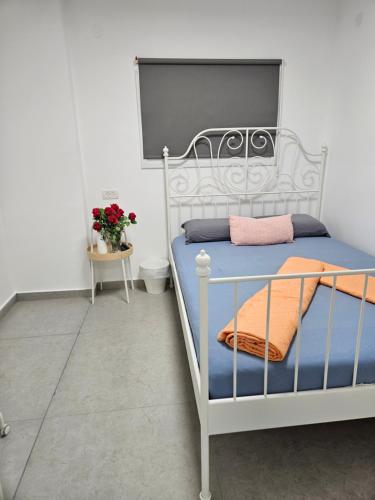 חצבים על הואדי, Arad (Foto 5)