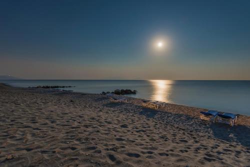 Olympia Mare - image 5