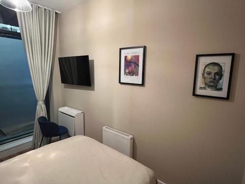 Private Room in Stunning Shared Apartment Newly Refurbished, Dublín (foto 9)