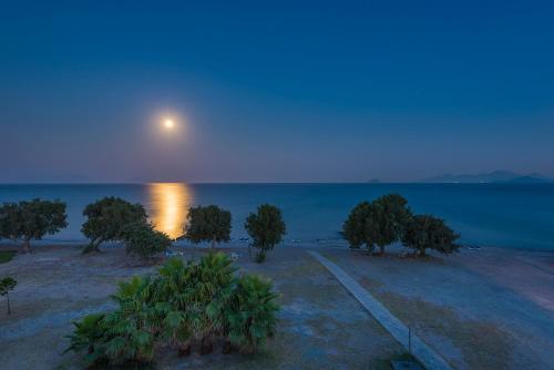Olympia Mare - image 3