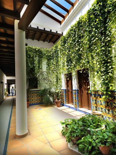 Hotel Porfirio - image 11