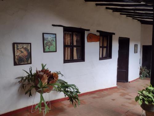 Luna Munay Hostel in Curiti