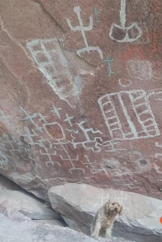 El Rincon de Logan - Miniatura 5