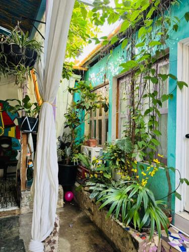 Nicte Guesthouse in Flores