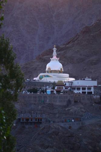 Otsal Villa - image 4
