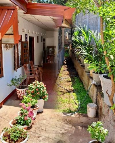 Shara HomeStay