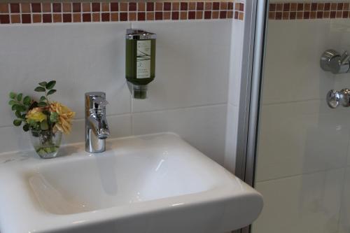 Hotel Sollner Hof – Munich, CO