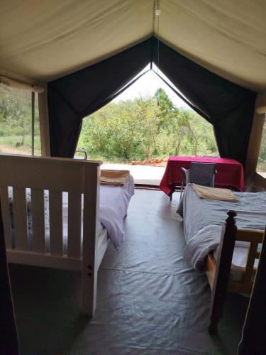 Esidai Mara Camp in Narok