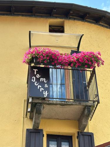 Tom e Jerry, Lierna