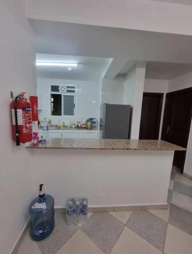 Sardar house - image 4