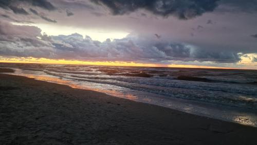 Apartamenty przy plaży Shellter