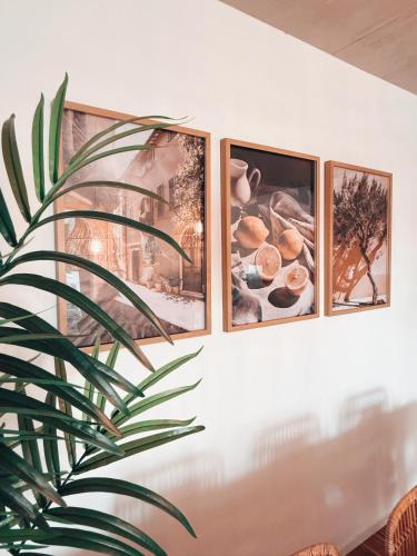 Food and beverages, Boho Oase 8min zum Zurich HB in Dietikon