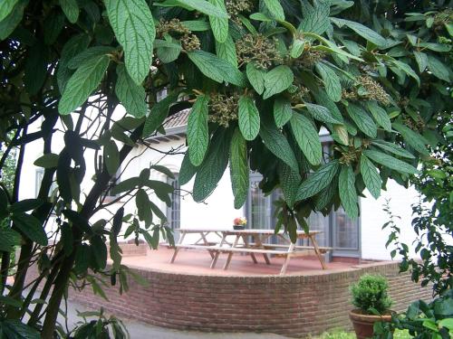 Spacious Mansion with Sauna in Poperinge - image 6