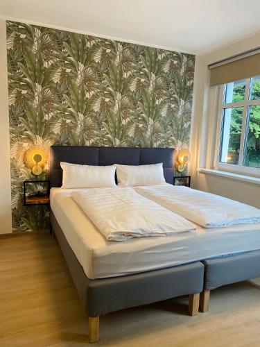 Apartments Aura & Nova in Bad Schlema