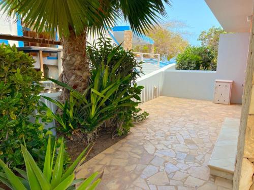 Lovely studio in front of the sea, Santa Maria (fotografie 6)