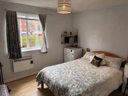 Spacious Tidy Room in Splott