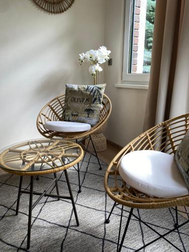 Létesítmények, Apartments Aura & Nova in Bad Schlema