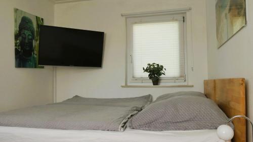 Gemütliche, einfache Unterkunft mit vier Betten, Küche, Bad, Ettlingen (foto 3)