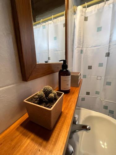 Bla Lodge, El Calafate (foto 7)
