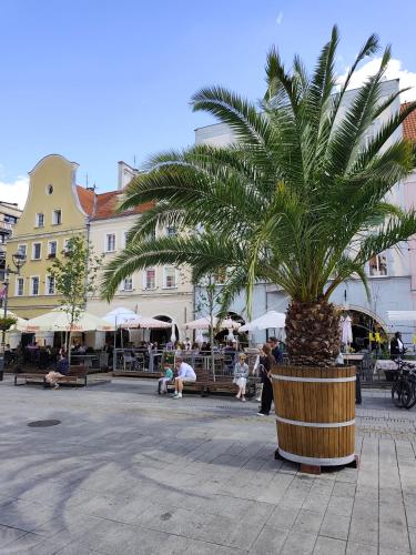 Apartament Gliwice Centrum