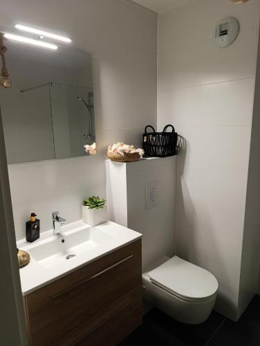 Chambre avec jacuzzi extérieur, Strasbourg (photo 7)
