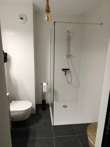 Chambre avec jacuzzi extérieur, Strasbourg (photo 2)