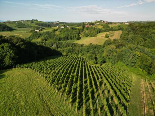 Ruralna kuća za odmor Julijana (Ruralna kuca za odmor Julijana) in Robadje