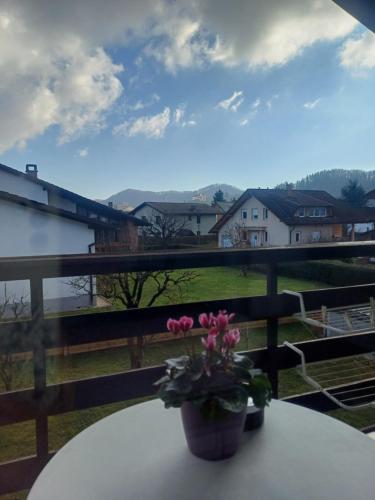 Apartma AJDA in Веленє