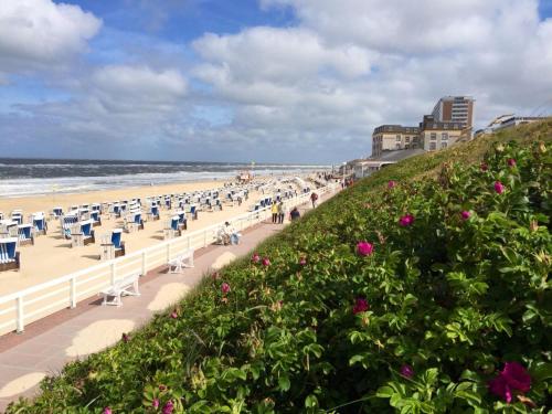 Apartment in Westerland, Westerland (fotografie 8)