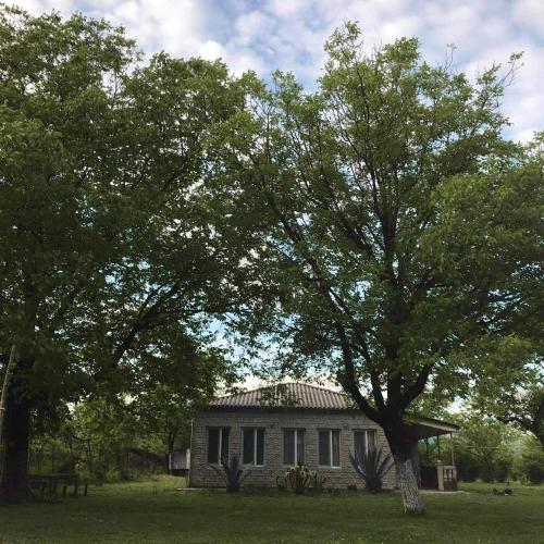 ELENA HOUSE kONTUATI · Khoni