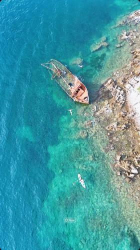 Apart Rose in Lustica in Rose