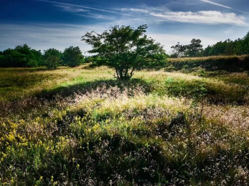  7 person holiday home in Hals-By Traum in Hals