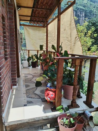 Chalmita de mis amores in La Soledad