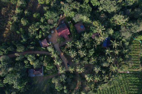 Hasiru Homestay