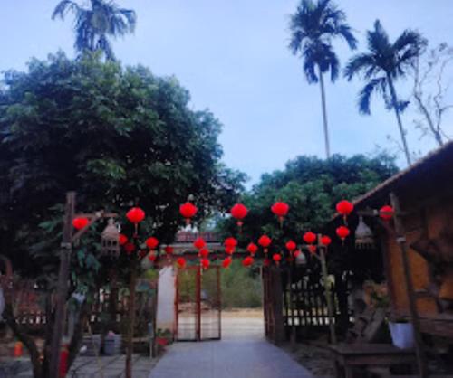 Quốc Cảnh Homestay - 전망