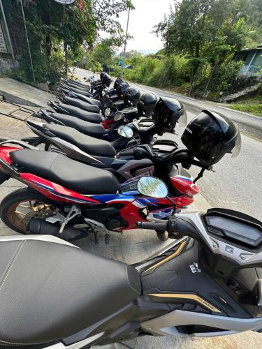 Time House - Tours & Motorbikes Rental