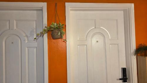 首尔 Sinsa Stay 酒店 外观