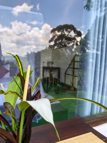 Bloom Heights, Ella (foto 10)