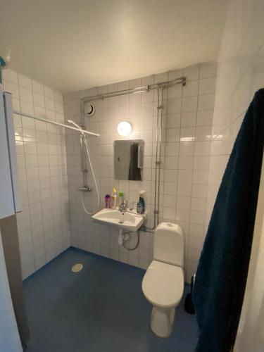 Studio Apartment in Gothenburg, Göteborg (foto 8)