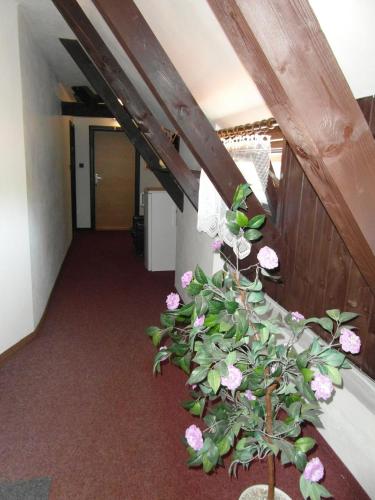 Pension U Soudu - image 5