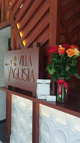 ทัศนียภาพภายนอกโรงแรม, Вілла Ягуся in ตรูสกาเวตส์