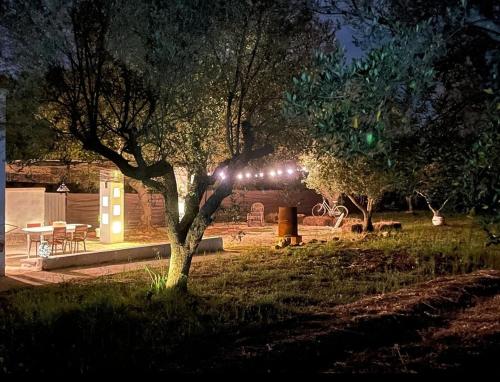 Lamia Giulia in Fumarola