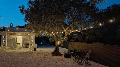 Lamia Giulia in Fumarola