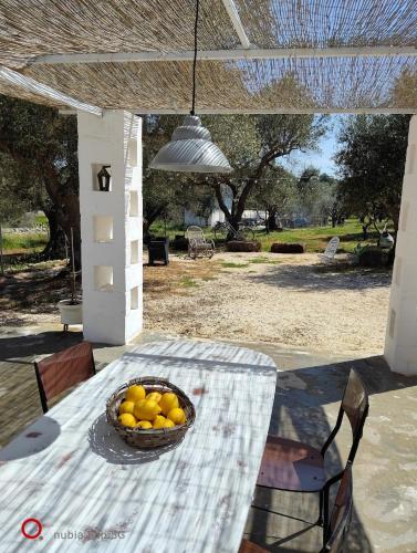 Lamia Giulia in Fumarola