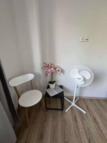 Room Near Old town, Tallin (foto 8)