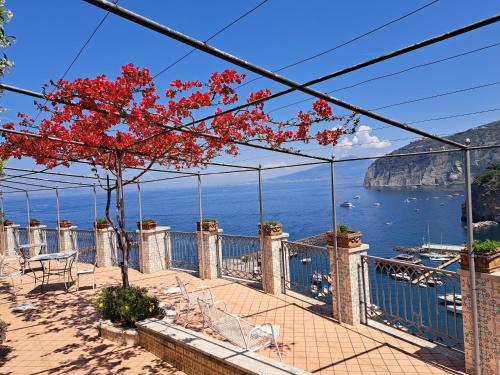 Domus San Vincenzo - Accommodation - Sant'Agnello
