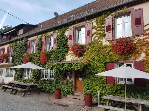 Hôtel du Haut Koenigsbourg- entre vignes et château