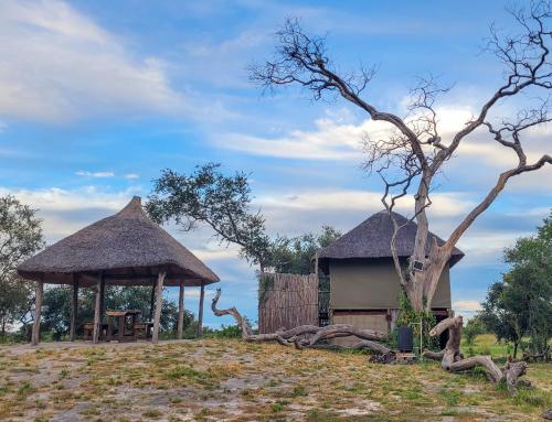 Chobe Hideaway Campsite in Muchenje